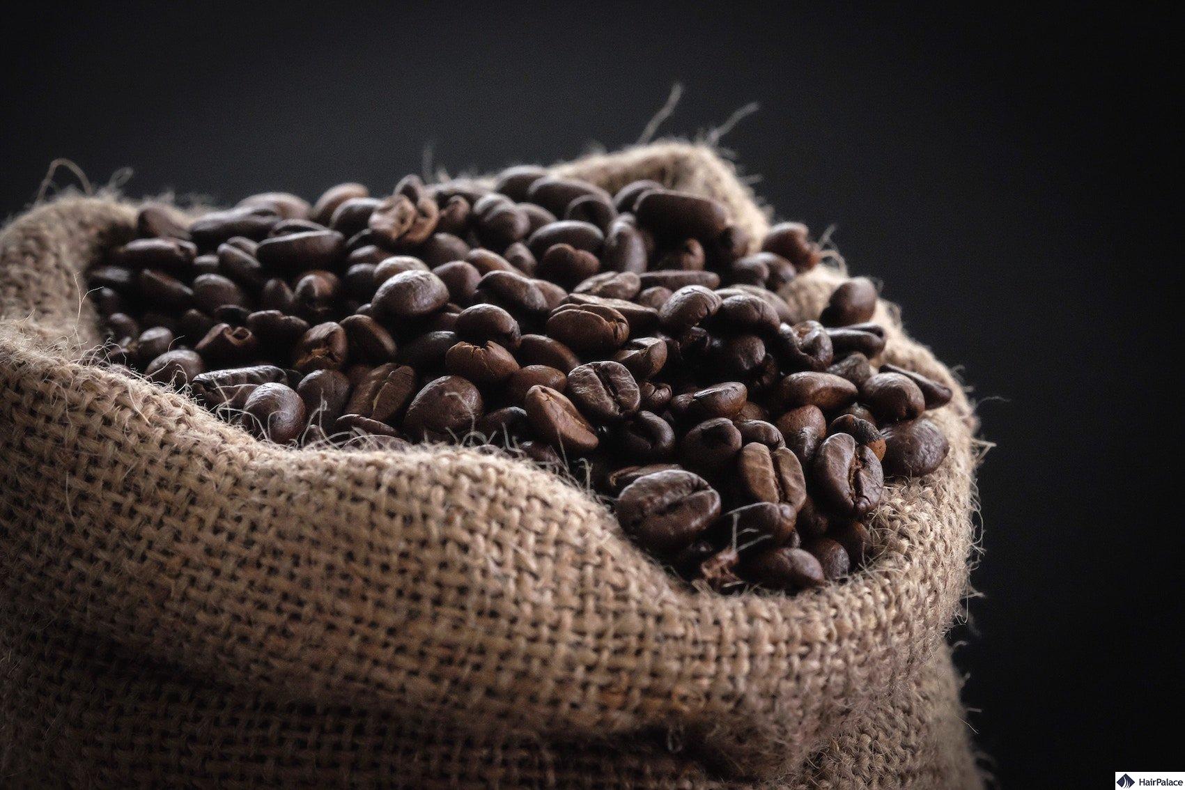 caffeine shampoo