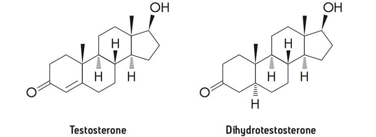 Testosterone and Dihydrotestosterone