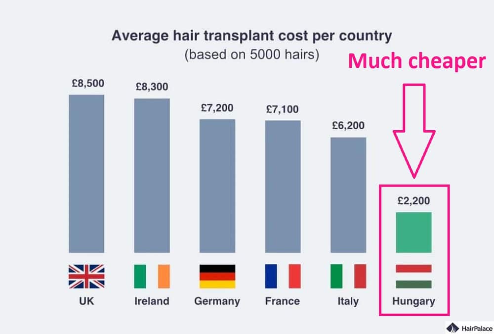 hair transplant cost per country