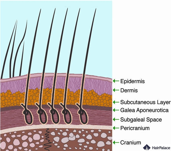 how biofibre synthetic hair looks under the skin