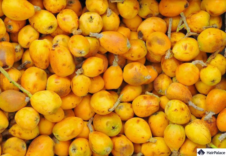 marula oil for hair growth