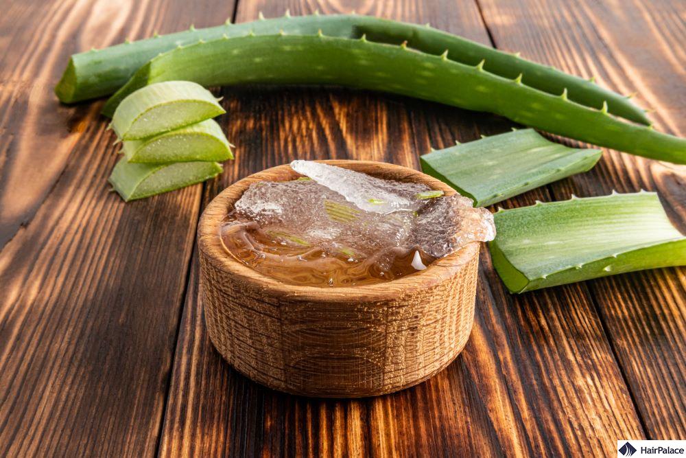 aloe vera for hair
