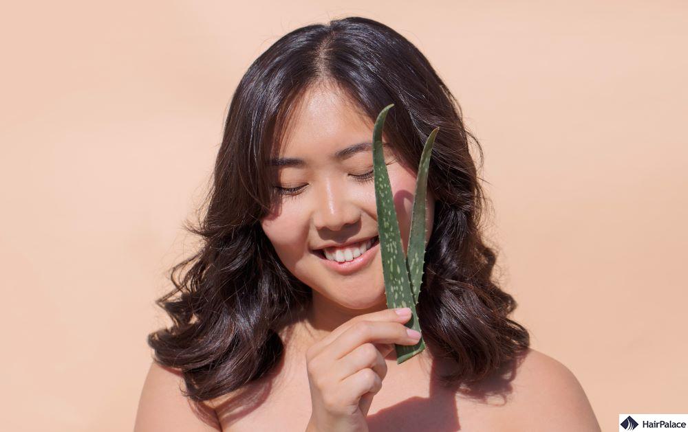 apply aloe vera on hair
